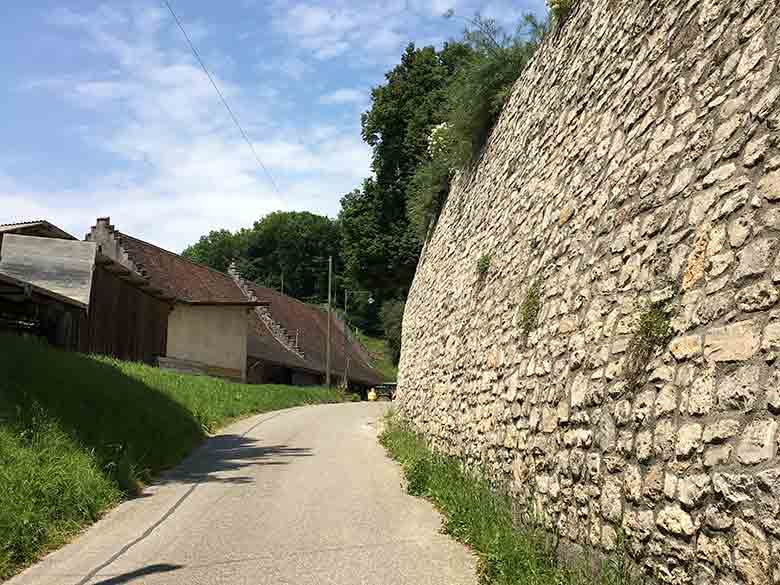 Wildenstein Schlossmauer 03 quer