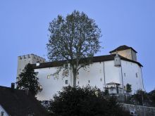 Heiraten Wildenstein JP 458