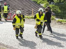 Fw Wildenstein 03