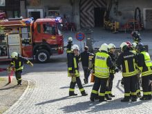 Fw Wildenstein 05