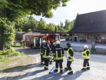 Fw Wildenstein 08