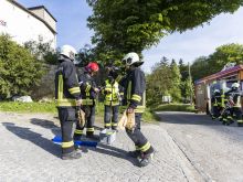 Fw Wildenstein 09