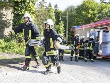 Fw Wildenstein 11