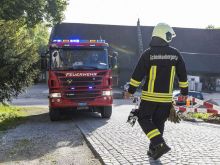 Fw Wildenstein 13