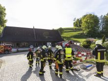 Fw Wildenstein 14