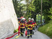 Fw Wildenstein 47