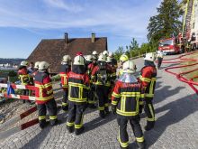 Fw Wildenstein 59