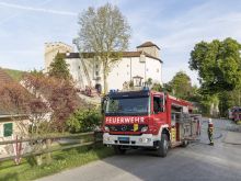 Fw Wildenstein 64