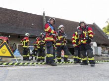 Fw Wildenstein 65