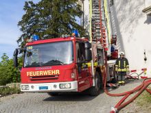 Fw Wildenstein 66