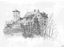 Wildenstein Oli Lowres