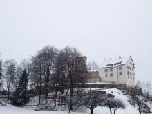 Winter Wildenstein
